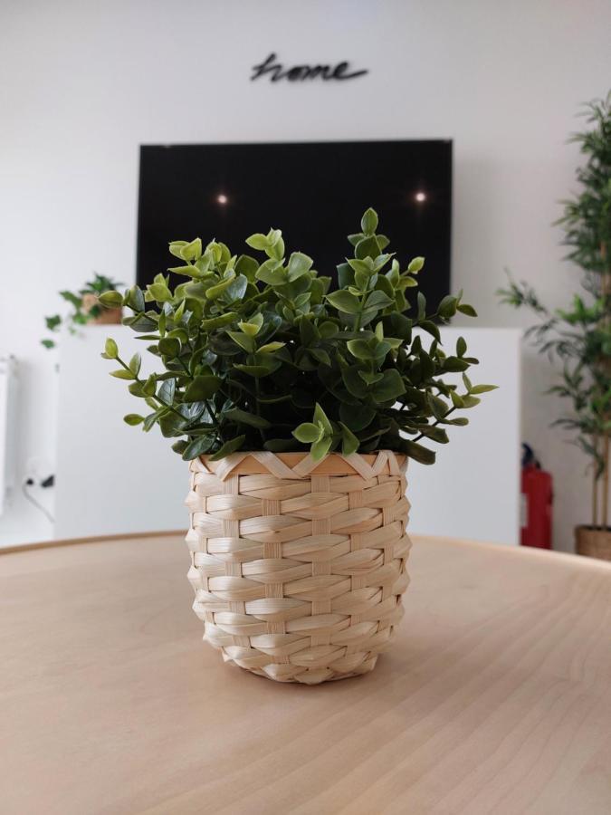 Beach Life Apartment, New, Elegant And Cozy Nazaré Exteriör bild